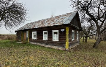 Продажа дома в д. Сухличи