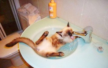 График отключения горячей воды в Минске на май