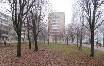 Жители Зеленого луга выступают против вырубки берез вблизи стройплощадки нового магазина