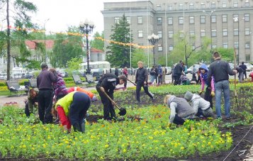 Застройщики будут обязаны заниматься озеленением выделенных под строительство территорий